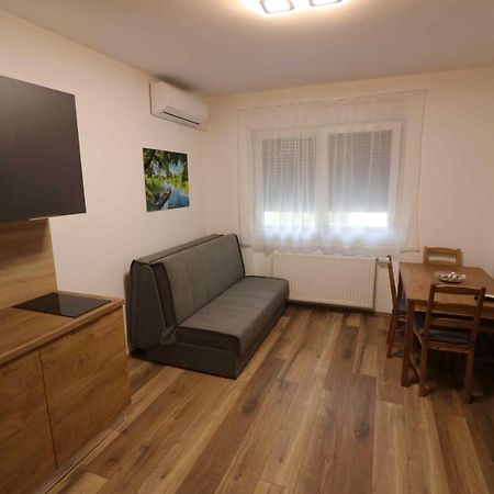 Forum Apartmani I Sobe Donji Miholjac エクステリア 写真