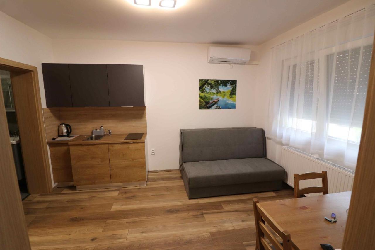 Forum Apartmani I Sobe Donji Miholjac エクステリア 写真